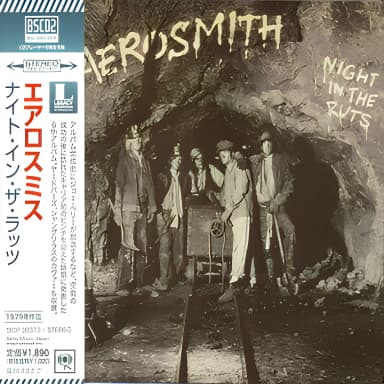 Night In The Ruts