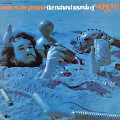 Seeds On The Ground - The Natural Sounds Of Airto