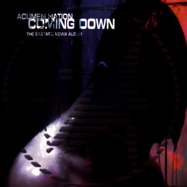 Coming Down: The Bastard Remix Album