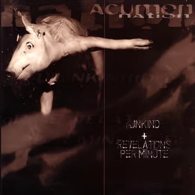Unkind+ Revelations Per Minute