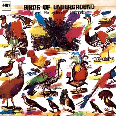 Birds Of Underground