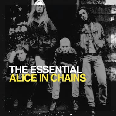 The Essential Alice In Chains