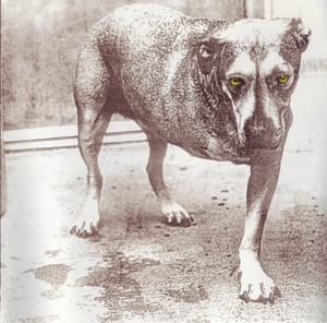 Alice In Chains