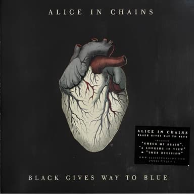 Black Gives Way To Blue