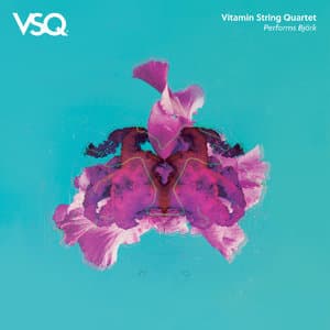 Vitamin String Quartet Performs Bjork