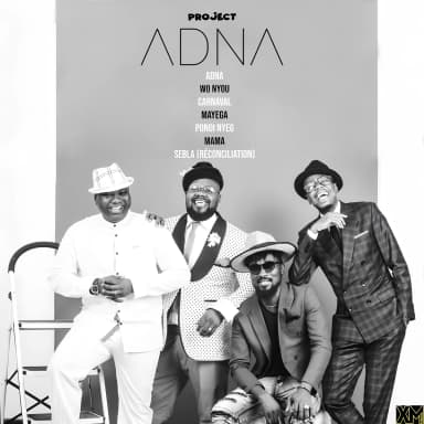 Project Adna