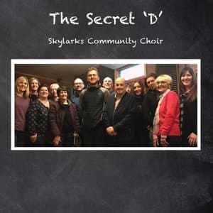 The Secret D