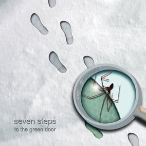 Step In 2 My World