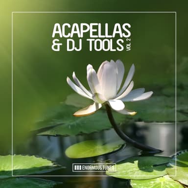 Enormous Tunes Acapellas & Dj Tools, Vol. 2