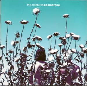 Boomerang