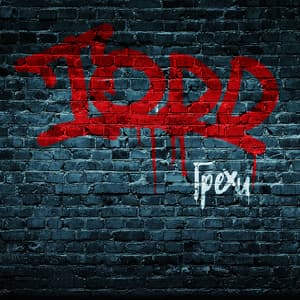 Грехи