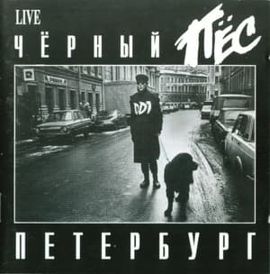 Черный Пес Петербург (CD1)