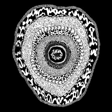 Flower Of Cane