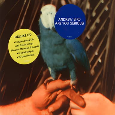 Are You Serious (Deluxe Edition)