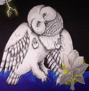 The Magnolia Electric Co. (10th Anniversary Deluxe Edition) (2CD)