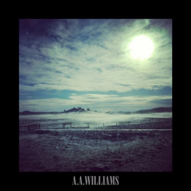 A.a.williams