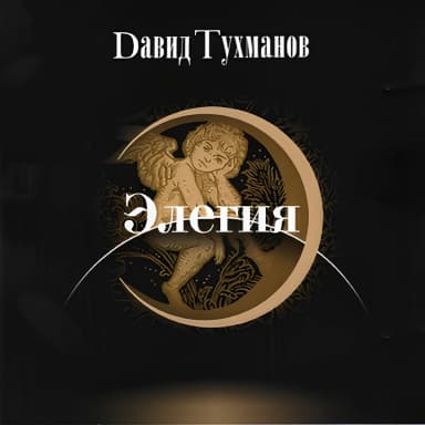Давид Тухманов - Элегия