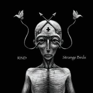 Strange Birds