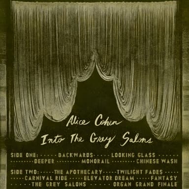 Into The Grey Salons