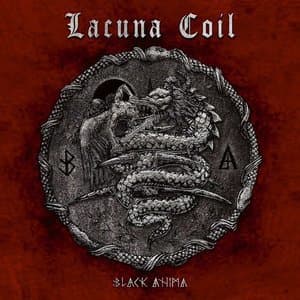 Black Anima