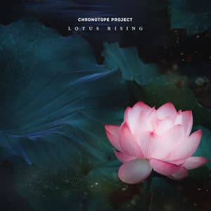 Lotus Rising 