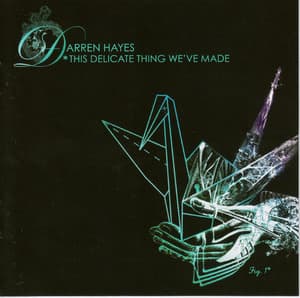 This Delicate Thing We've Made [side 2]