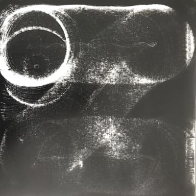 13 Million Year Old Ghost