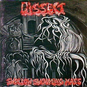 Swallow Swouming Mass