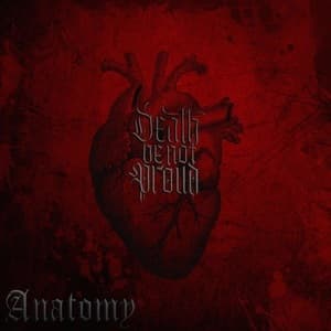 Anatomy