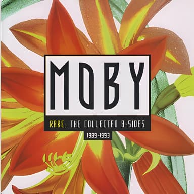 Rare: The Collected B-Sides (1989-1993)