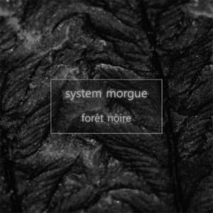Foret Noire