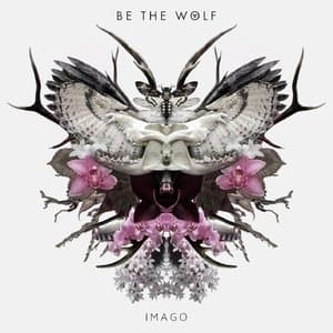 Imago