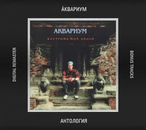 Кострома Mon Amour