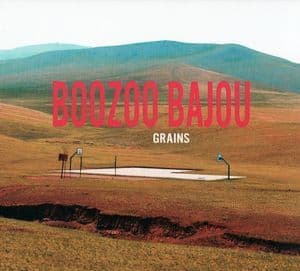 Grains