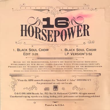 Black Soul Choir [CDS]