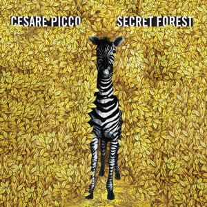 Secret Forest
