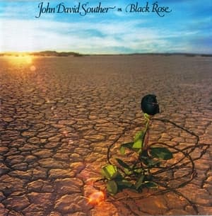 Black Rose