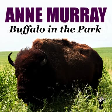 Buffalo In The Park
