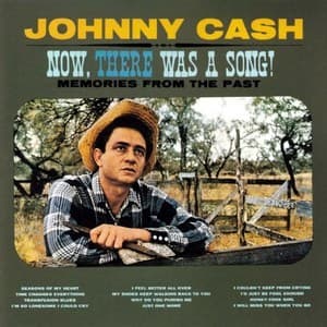 Now, There Was A Song