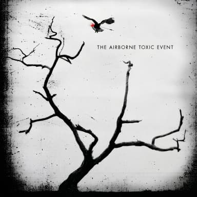 Airborne Toxic Event