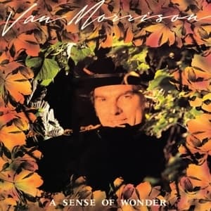 A Sense Of Wonder