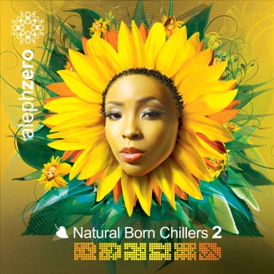 Natural Born Chillers Vol.2