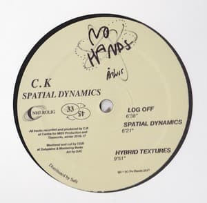 Spatial Dynamics