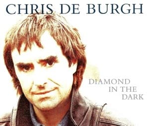 Diamond In The Dark