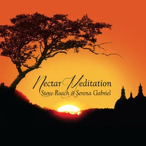 Nectar Meditation [Hi-Res]