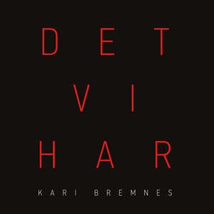 Det Vi Har