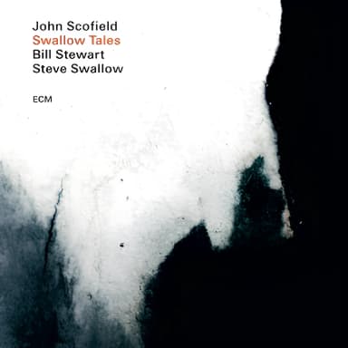 Swallow Tales (2020) [24-96]