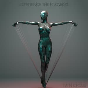 Experience The Knowing