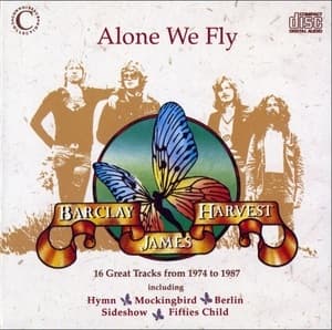 Alone We Fly