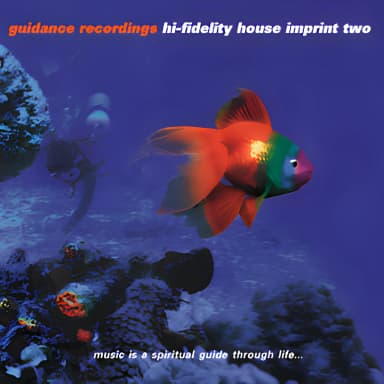 Hi-Fidelity House Imprint Two